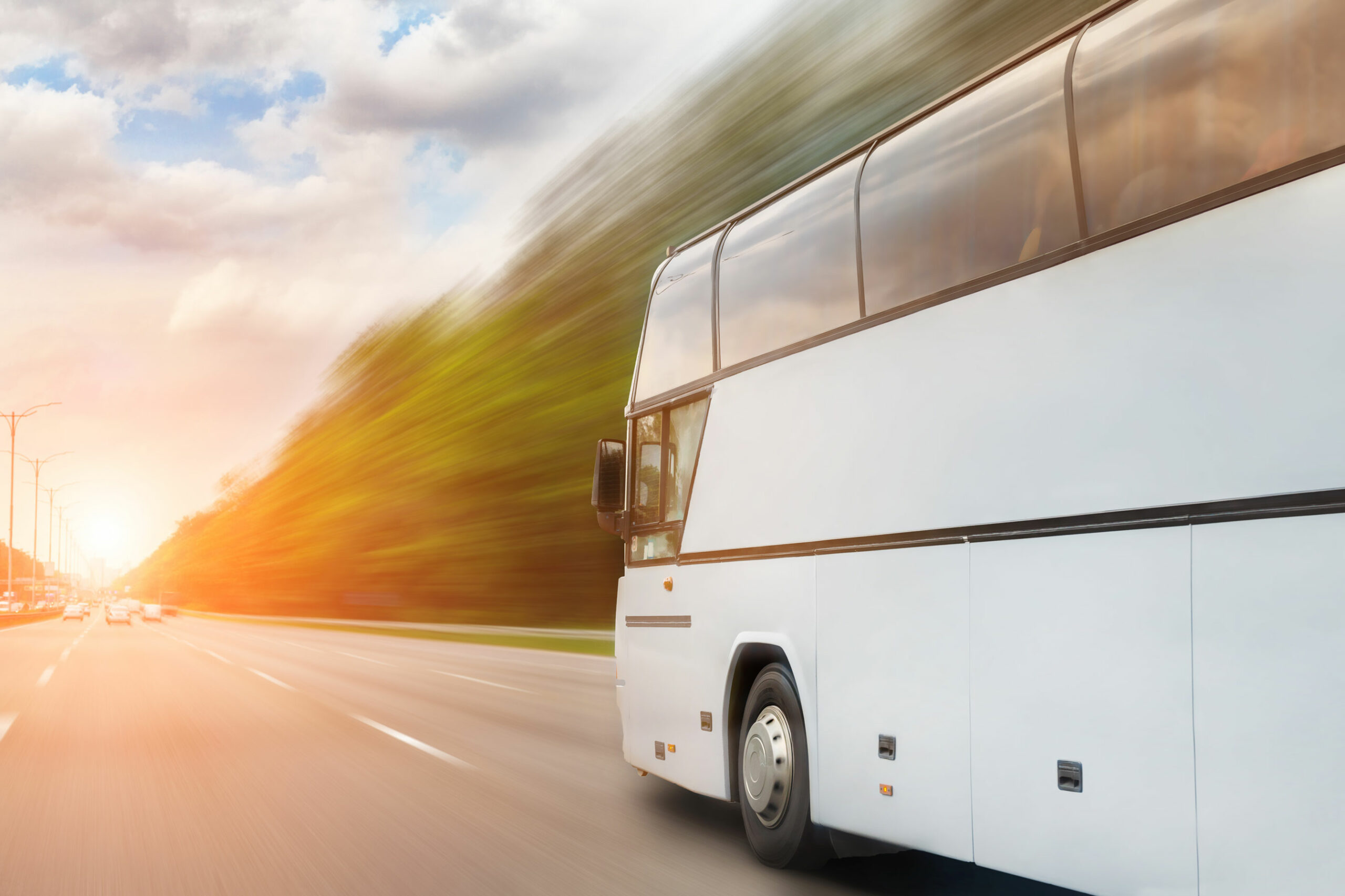 Un bus blanc roule sur l'autoroute