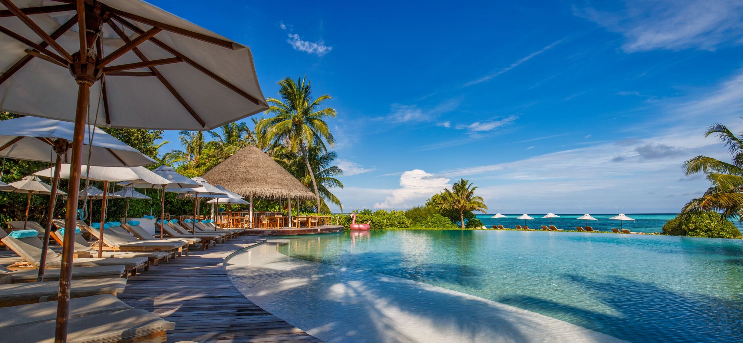 Complexe balnéaire de luxe avec piscine et chaises longues sous des parasols, au milieu des palmiers, sous un ciel bleu idyllique.