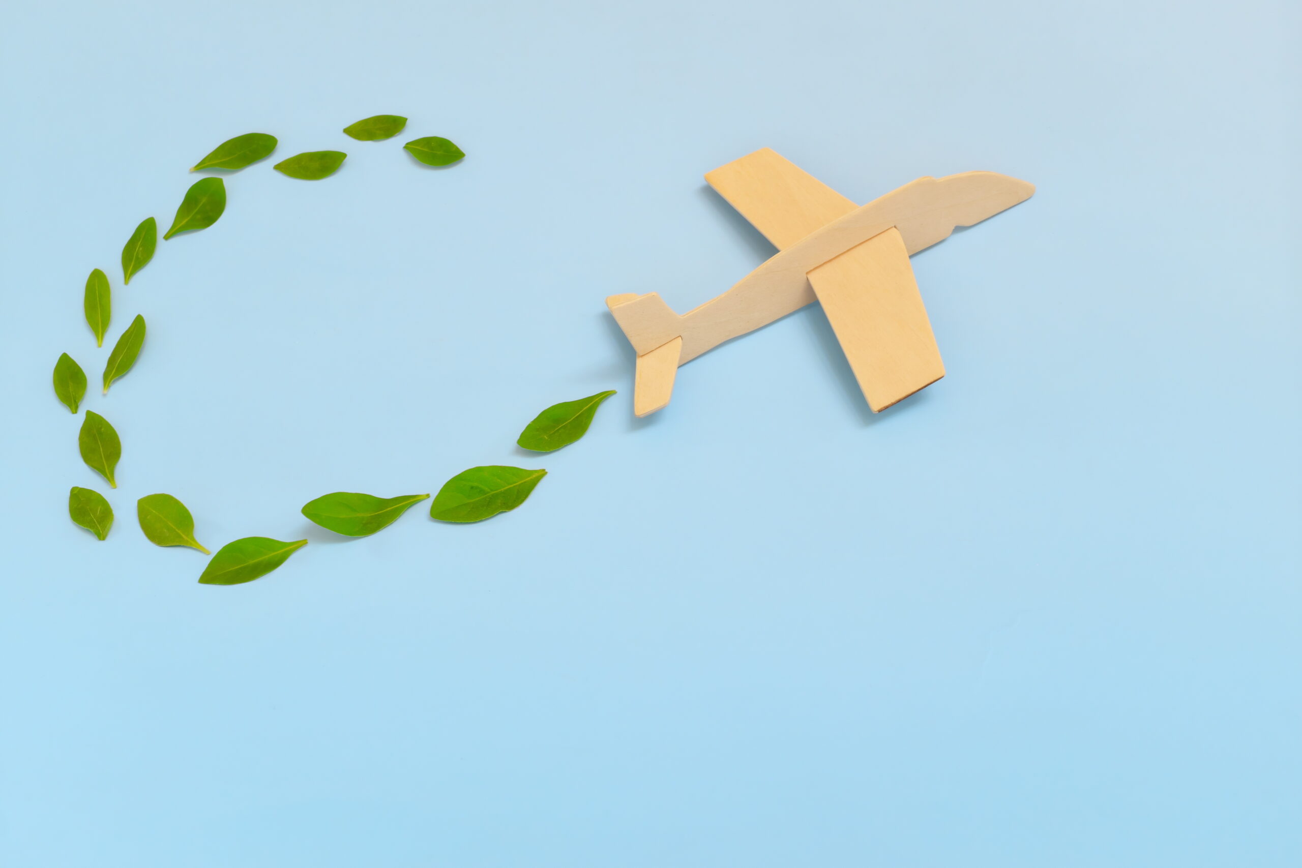 Maquette d'avion en bois représentant des feuilles vertes fraîches sur fond bleu.