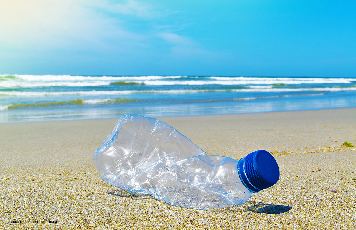 An empty plastic water bottle, left on a beach