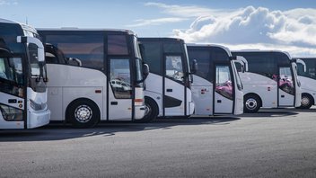 Plusieurs bus blancs sont garés alignés sur un parking.