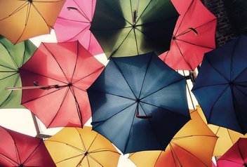 Many open umbrellas seen from below.