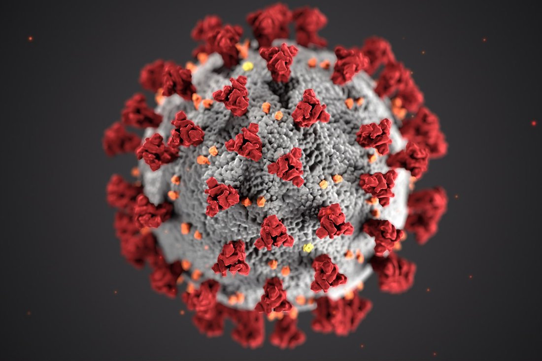 Vue microscopique d'un virus.