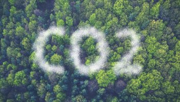 Vue de haut d'une forêt avec un un nuage de pollution qui forme en lettres "CO2".
