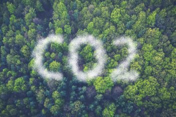 Top view of a forest with a cloud of pollution forming in letters "CO2".