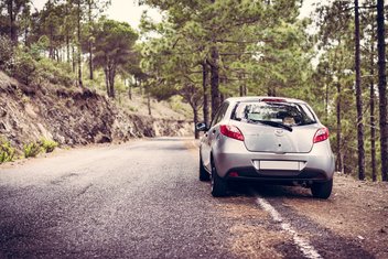 A car is parked along a road in the forest.